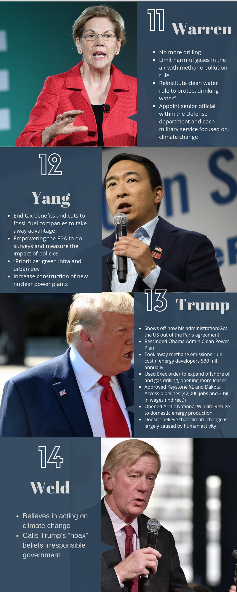 more about the candidates