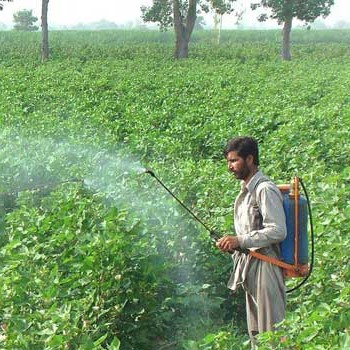 farmer spraying crops with chemicals
