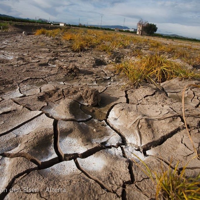 broken up soil due to drought